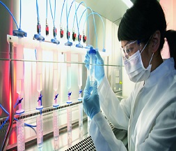 Food, Personal care and Pharmaceautical equipments Food, Personal care and pharmaceutical equipments painting solutions
