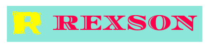 PARTNERS 21 Rexson (HK) Ltd